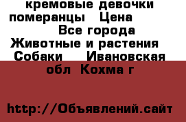 кремовые девочки померанцы › Цена ­ 30 000 - Все города Животные и растения » Собаки   . Ивановская обл.,Кохма г.